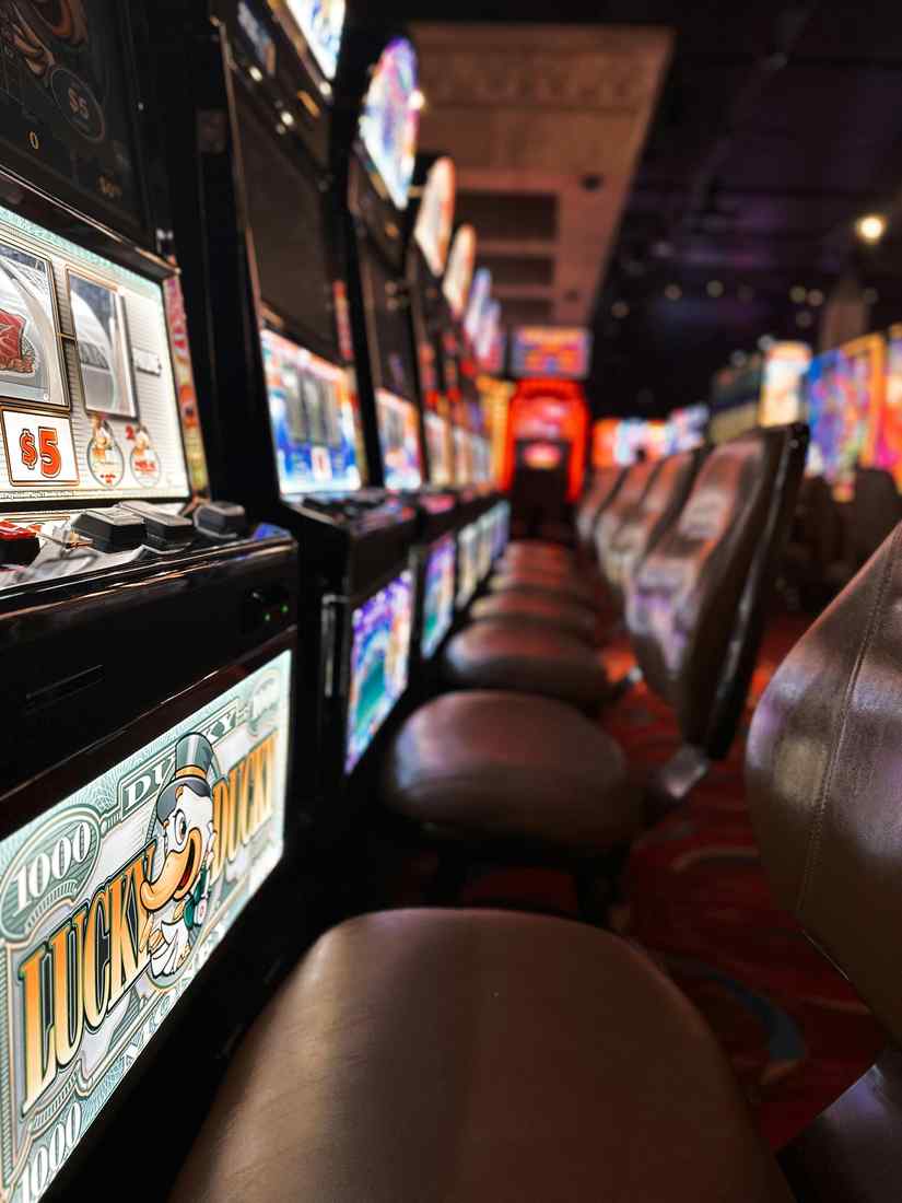 Winner casino